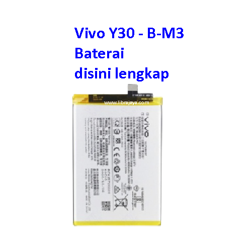 batre-vivo-y30-y50-b-m3