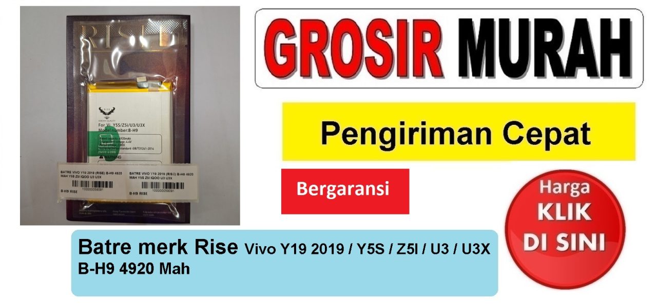 Jual Batre Vivo Y19 2019 B-H9 Rise Baterai Battery